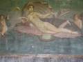 The Wonders of Pompeii