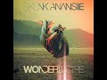 Skunk Anansie