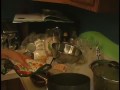degenerate dinner [part 3]