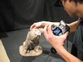 Photography 101: Snakes
