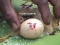 Zomi - Tear Gospel Ministry In Myanmar