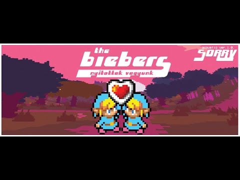 The Biebers - Sorry (akusztik)
