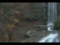 videos de fake bigfoot keeper 0002