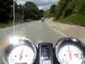Hornet vs CBR600RR