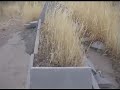 Peshmerga Grave in Mahabad Peshmerga Grave in Mahabad