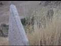 Peshmerga Grave in Mahabad
