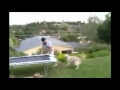 Trampoline Double Fail - Guy falls off then gets humped by his dog