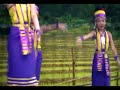 Ntxhais Nkauj Hmoob MN La Crosse Hmong New Year - Yia Vang