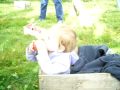 ohlen family picking apples