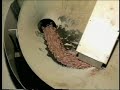 PEANUT BUTTER SONG