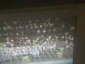centrocampo gol(fifa 09)