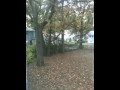 Fall in backyard