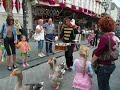 Ganzenpas in Bergen op Zoom