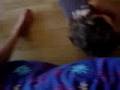 Clip Ontuak Bagare