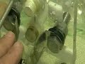 Hydrogen Tap ( FOCUS-ELECTRODES 313