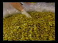 Giardiniera - the condiment that rules at Chicago Beef Joints and restaurants. See how the famous blend is made and how it's used. As seen on Food Network.