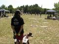 videos de Flyball z pohledu nabíječe