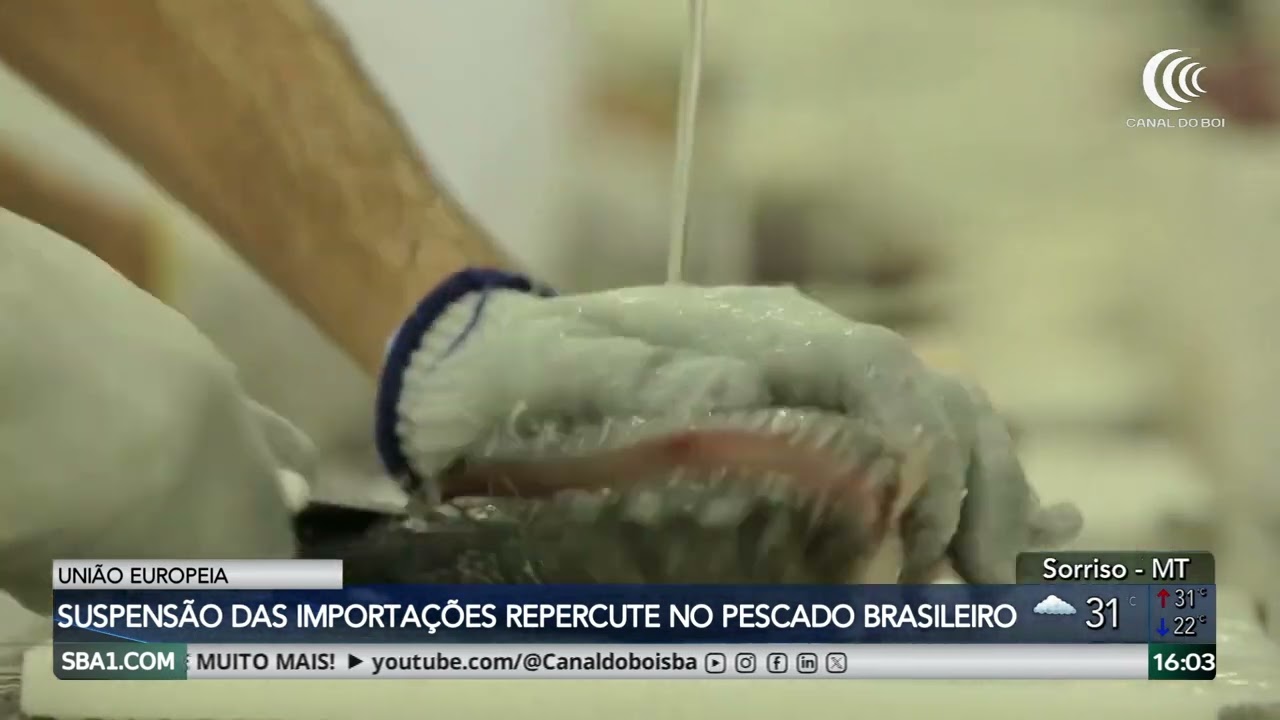 Piscicultura paulista deve ser impactada por suspensão das importações da União Europeia