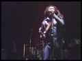Bob Marley & The Wailers  - Natural Mistyc (live - 1980)
