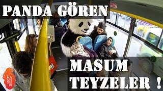 Panda gören masum teyzeler !