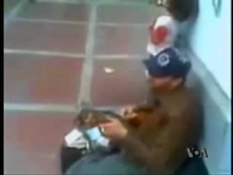 كوس دختر