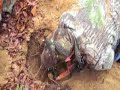 metal detecting Saving History: Episode 23 -Sherman\