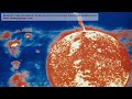 AUBREY SELBO SARK YENLIN KOSTKA DOZER NARVAIZ DENHARTO.mov