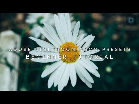 how to get more vsco filters