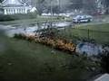 Elmhurst Microburst
