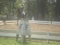 Reprise A concours dressage