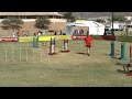 2008 Cynosport Envy Steeplechase Rd1 2008 Cynosport Envy Steeplechase Rd1