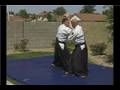 Intermediate Aikido: Shomen Uchi Waza : Aikido Shomen Uchi: Iriminage Tips