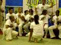 Ver Video