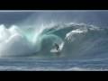 Ver Video