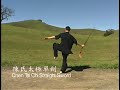 xin tai