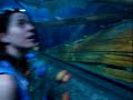 sea life acquario  gardaland