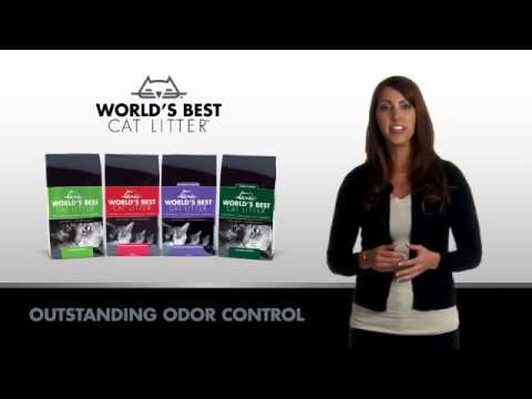 how to control odor from litter box