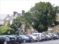 videos de Irlandia