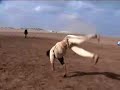 parkour-casa