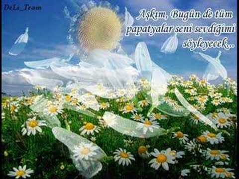 seyfi