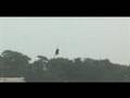 20070908めざましどようび台風9号ニュース
