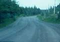 Ghost Crossing
