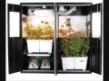 www.hg-hydroponics.co.uk - Gallery! hydroponic grow rooms