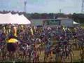 PMC 2006