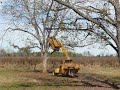 Pecan Tree Shaker