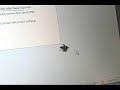 Spider chasing mouse cursor