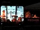 Pecker Live Pecker Live