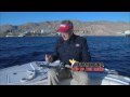 Rapala Counter Reels and Trolling Rods Explained Csf 24 06 Tip