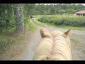 TTT#10: Icelandic Pony Ride in Sweden