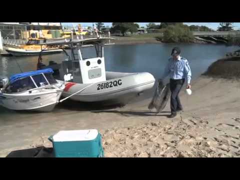 how to measure mud crab size qld